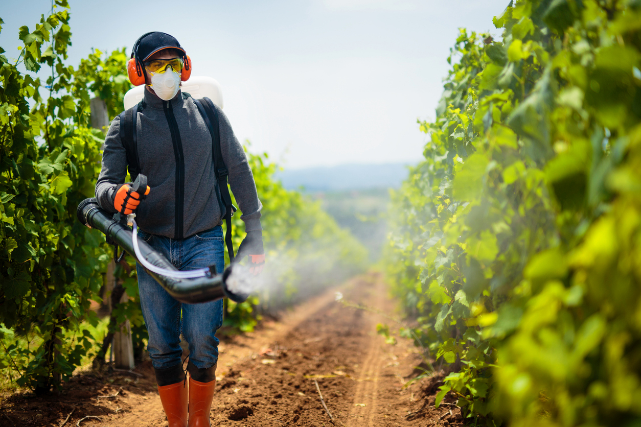 The-Hidden-Benefits-of-Reputation-Management-Services-for-Pest-Control